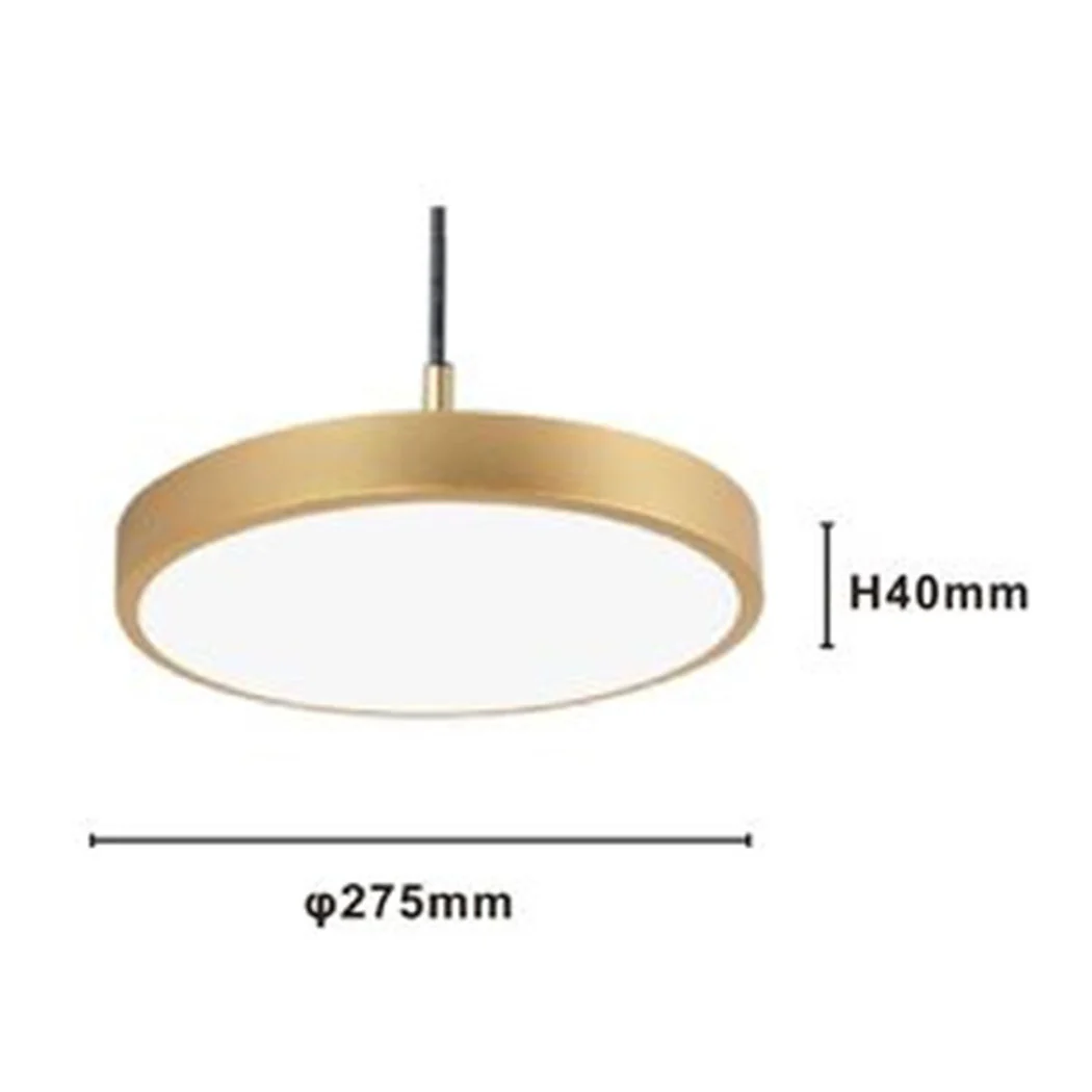 LED RESUMEN 40W ORO CERCHIO MINIMAL LUCE 6500K 32927
