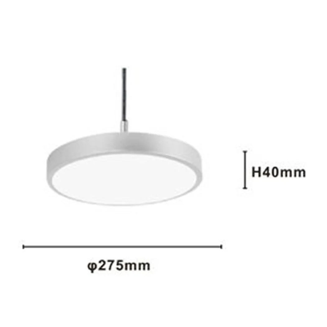 LED RESUMEN 40W LED RESUMEN CERCHIO MINIMAL LUCE 6500K 32941