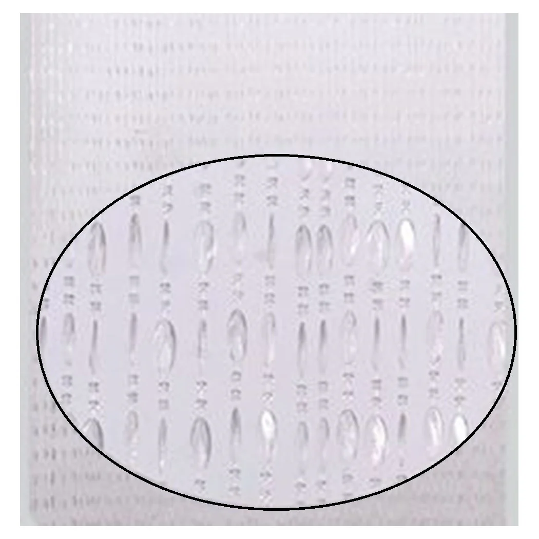 Tienda Mossiera Antimosche con cables Transparente PVC 100x220CM TPL52 017339