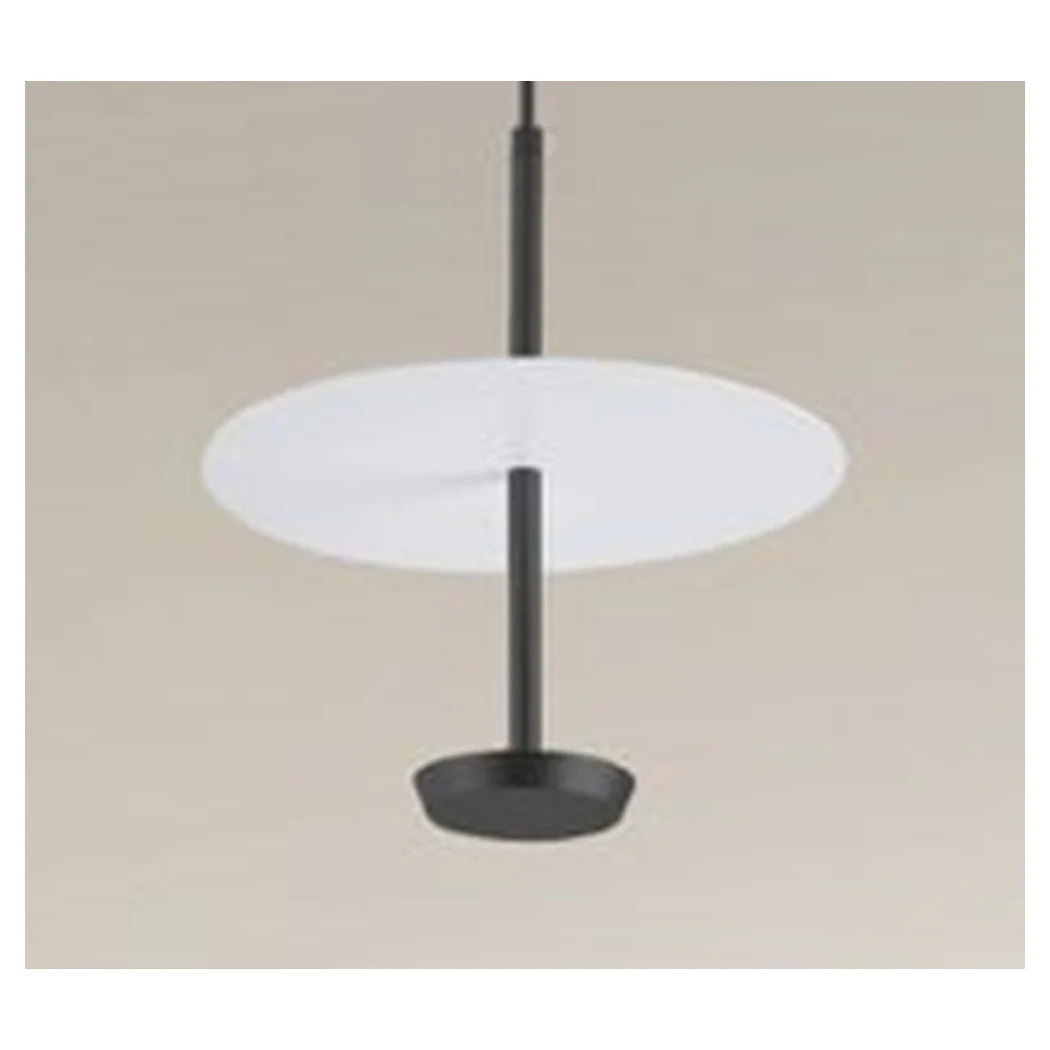 6500K LED colgante araña 12w disco placa placa blanco blanco redondo 33122