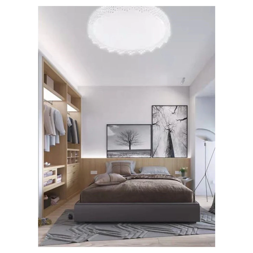 Techo interior Techo Luz de techo 60W Borde serrado FST-50A66404 Luz fría de 49cm