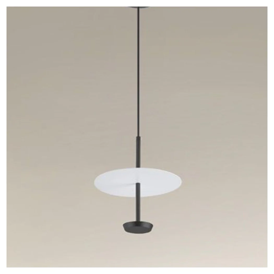 6500K LED colgante araña 12w disco placa placa blanco blanco redondo 33122