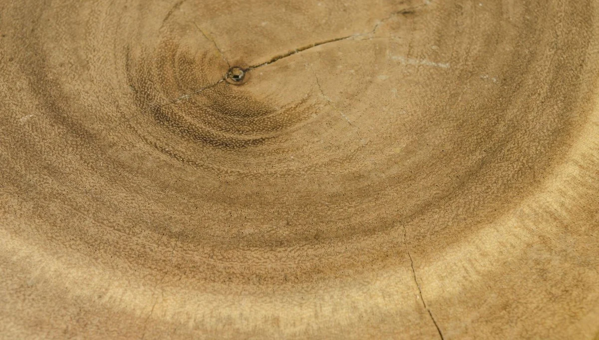 Casa Padrino mesa auxiliar / taburete de lujo colores naturales - Calidad de Lujo