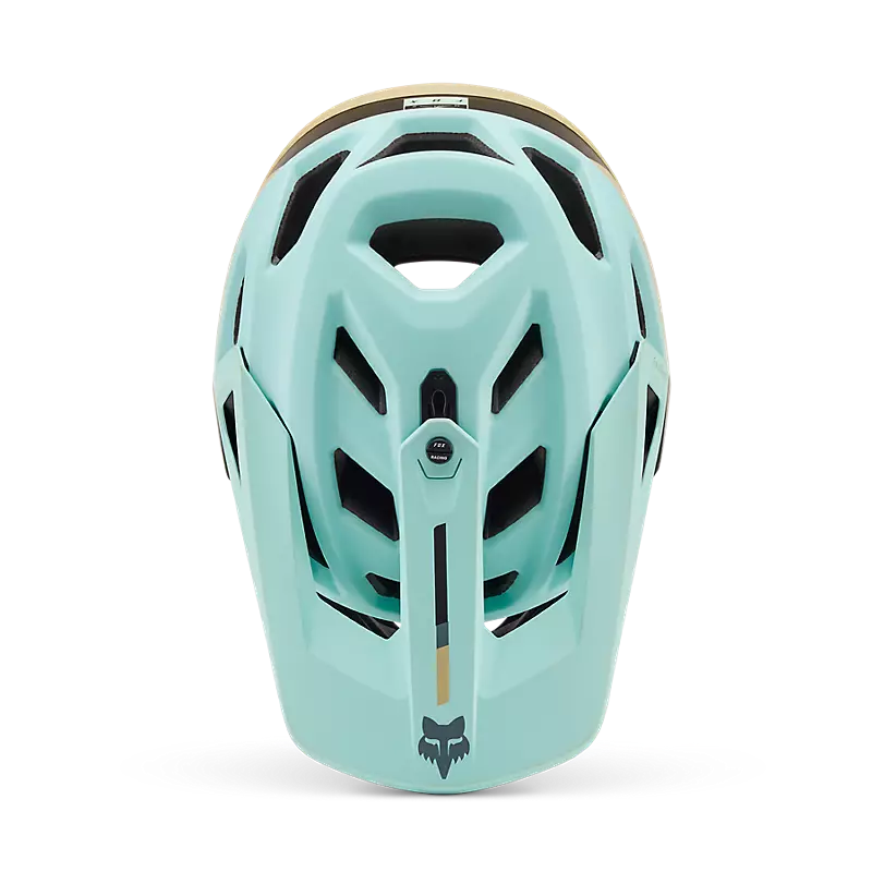 Proframe Helmet