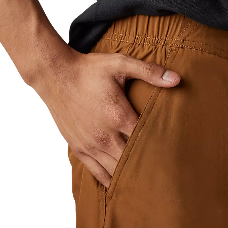 Essex Volley Solid Shorts