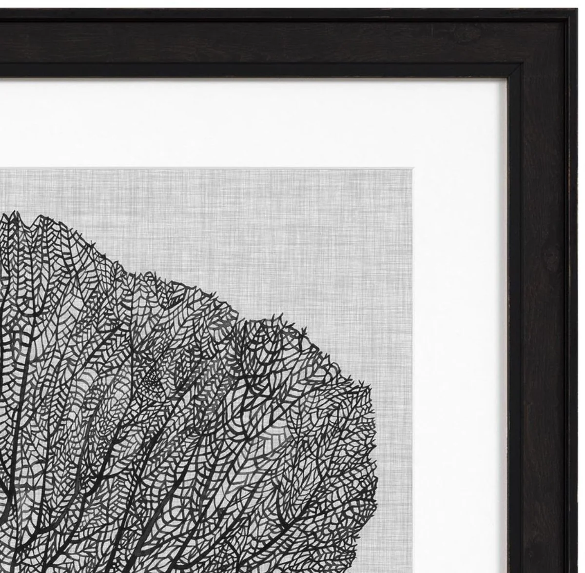 Casa Padrino Images Conjunto de 4 Helechos Marinos Negro / Blanco / Gris 61,5 x H. 61,5 - Impresiones de Arte de Lujo con Marco de Madera