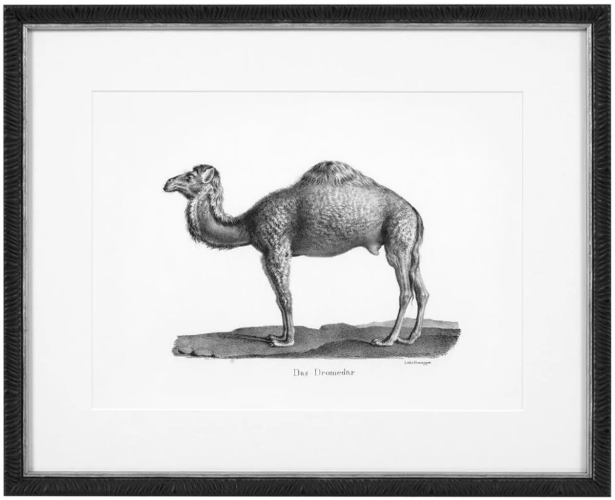 Casa Padrino Imágenes Conjunto de 6 Animales Históricos Negro / Blanco 53,5 x H. 43,5 - Impresiones de Arte de Lujo con Marco de Madera