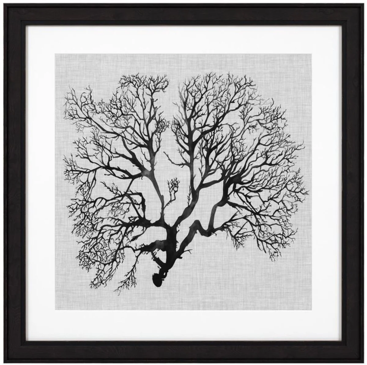 Casa Padrino Images Conjunto de 4 Helechos Marinos Negro / Blanco / Gris 61,5 x H. 61,5 - Impresiones de Arte de Lujo con Marco de Madera