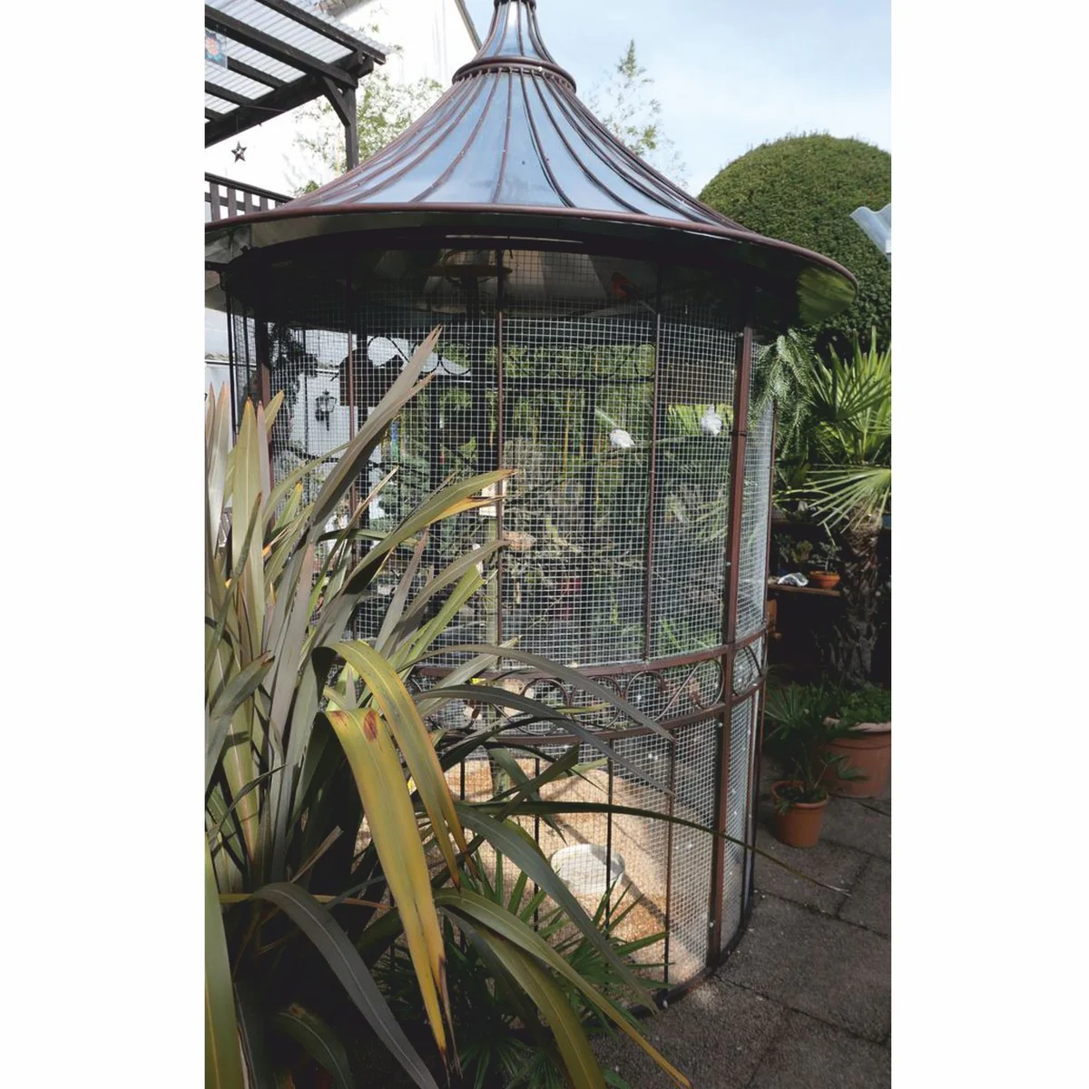 Casa Padrino casa para p¨¢jaros de jard¨ªn Art Nouveau de hierro forjado ¨®xido / plata ? 200 x A. 300 cm