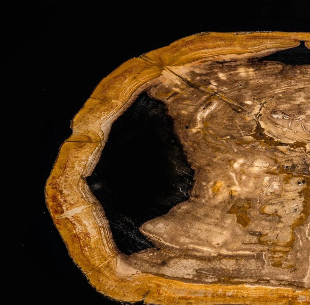 Casa Padrino mesa de centro de lujo 65 x 65 x H. 55 cm - Muebles de Hotel