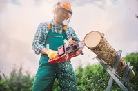 Cordless Chain Saw GP-LC 36/35 Li-Solo