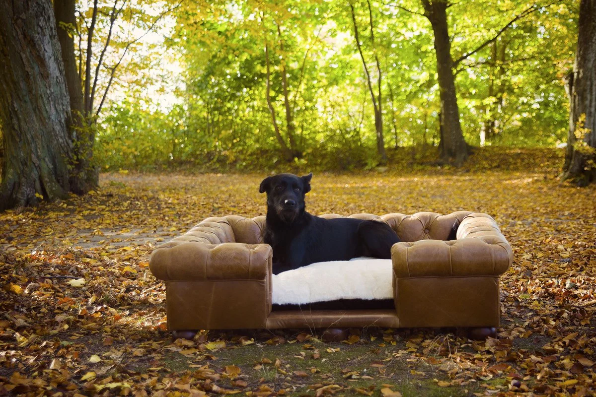 Casa Padrino cama para perros Chesterfield de lujo marrón vintage / marrón oscuro / blanco / negro 134 x 104 x A. 37 cm - Cama para perros de cuero genuino rectangular - Muebles para Mascotas