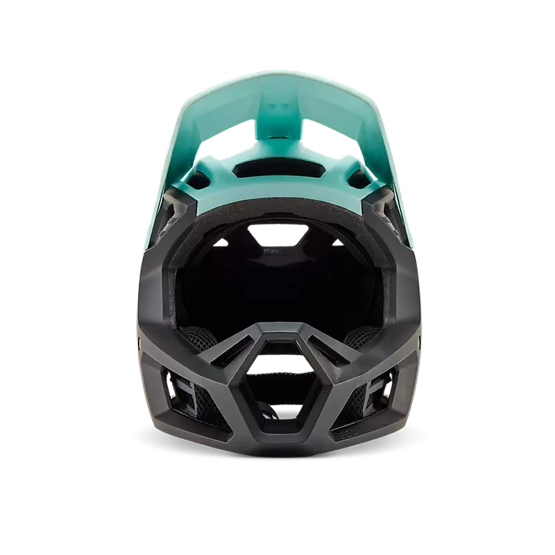 Proframe Helmet