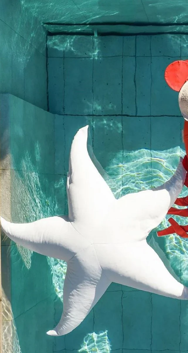 Casa Padrino puf de lujo estrella de mar crema blanco ? 180 x A. 35 cm - Puf flotante - Coj¨ªn de asiento hecho a mano - Decoraci¨®n de jard¨ªn - Decoraci¨®n de terraza - Decoraci¨®n de piscina