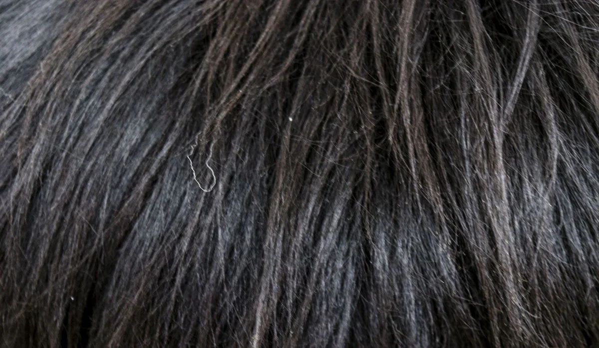 Casa Padrino Luxury Stool Black Ø 40 x H. 57 cm - Stool with Sheepskin