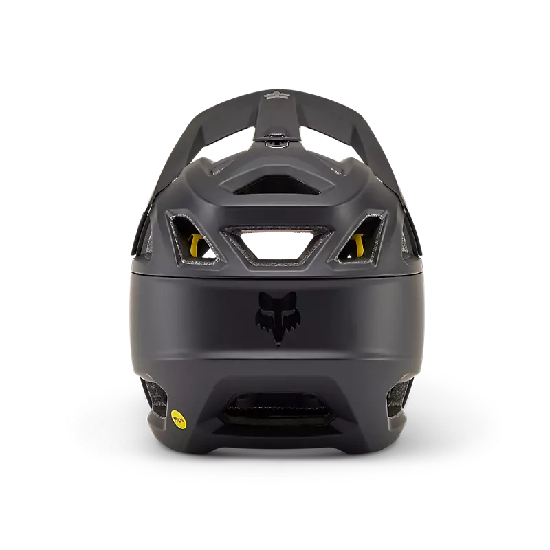 Proframe Helmet