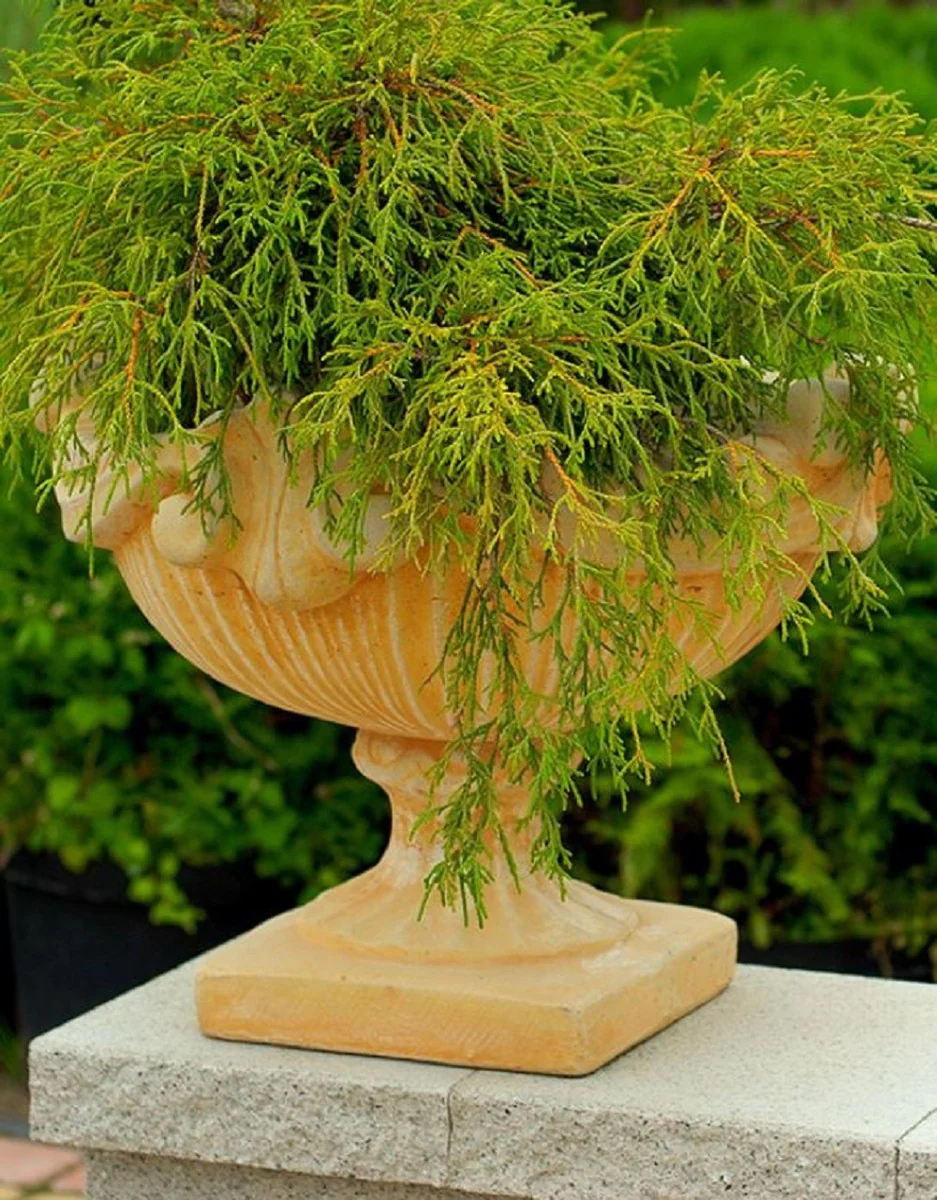 Casa Padrino maceta barroco beige Ø 46 x A. 33 cm - Macetero redondo de estilo barroco - Decoración Barroca de Jardines y Terrazas