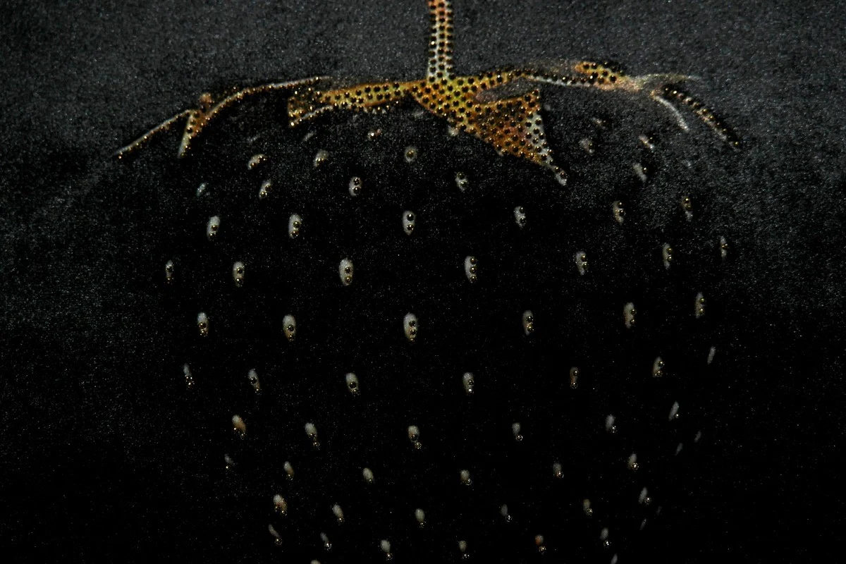 Coj¨ªn decorativo de lujo de fresa de Casa Padrino con pedrer¨ªa bling bling negro / dorado de 35 x 55 cm - la mejor tela de terciopelo - accesorios de decoraci¨®n de lujo