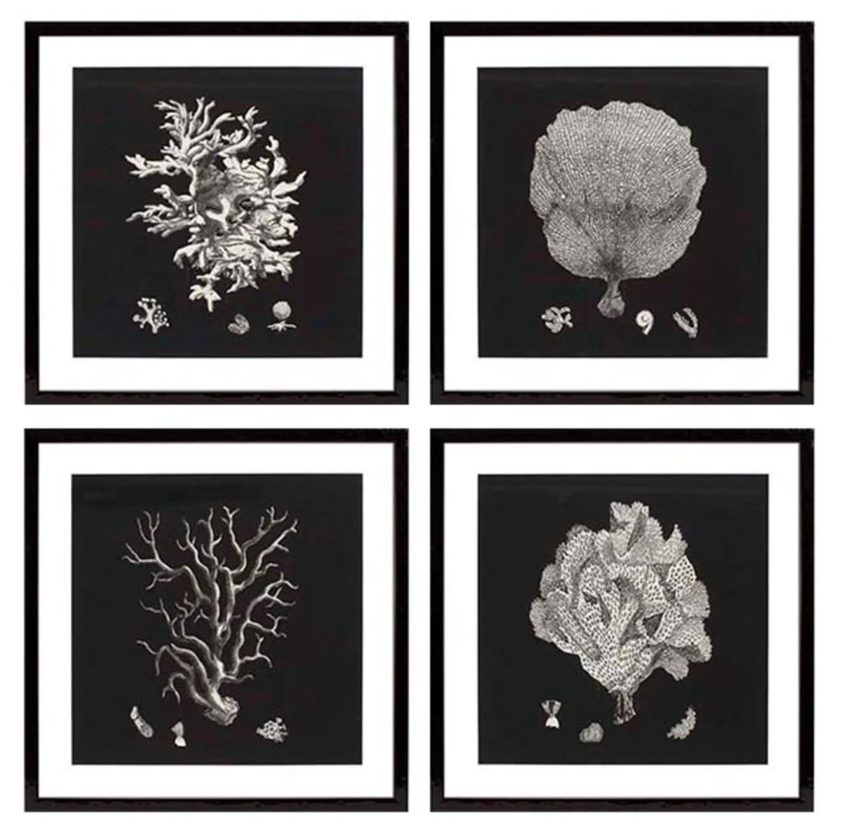 Casa Padrino Imágenes / Art Prints Conjunto de 4 Coral Negro 64 x H. 64 cm - Decoración de Lujo