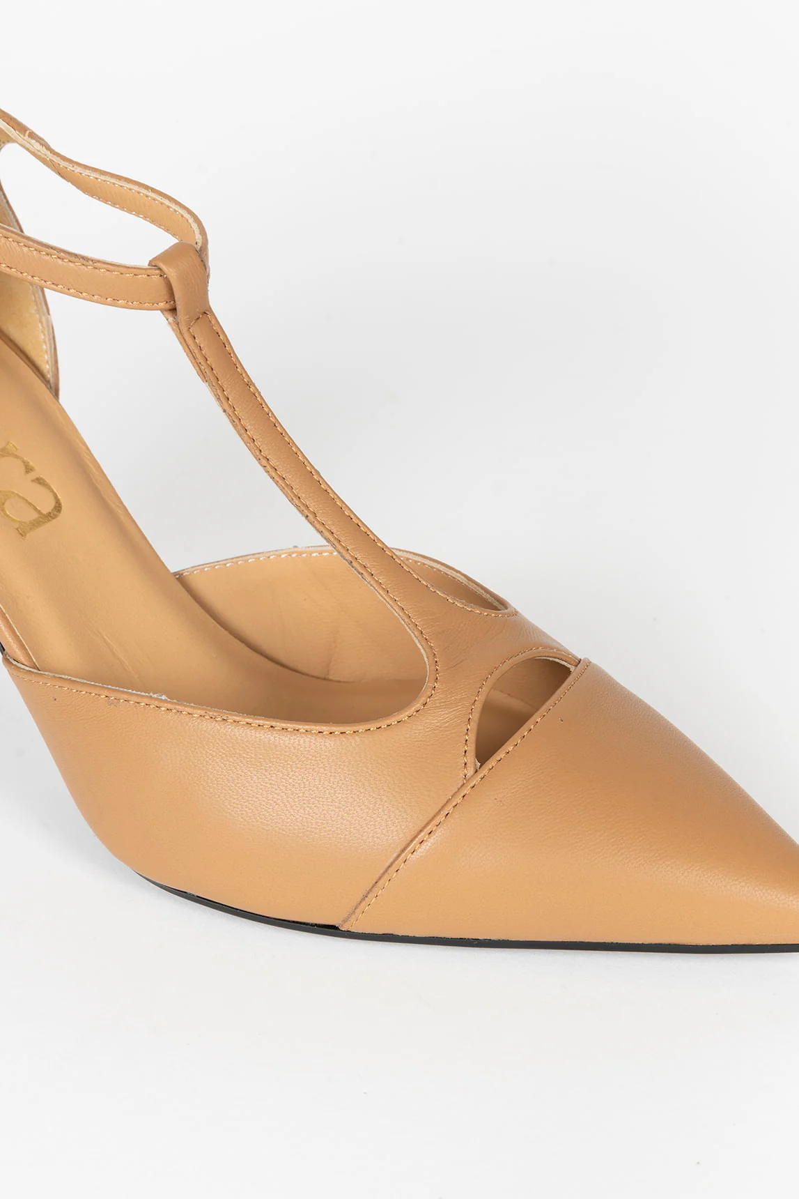 Rivera-spain Salón Mariam camel