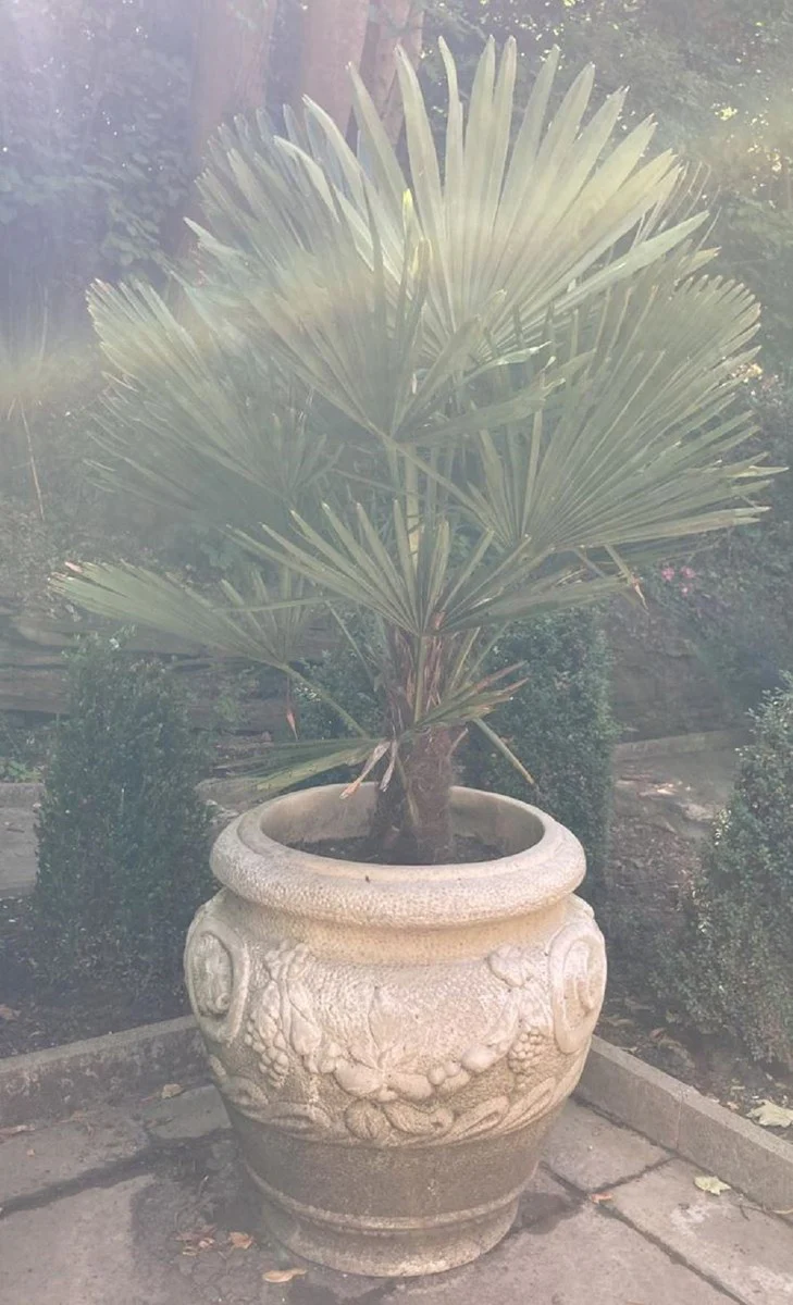 Casa Padrino maceta decorativo de jardín barroco blanco Ø 59 x A. 66 cm - Magnífico macetero de estilo barroco - Accesorios de decoración de terrazas y jardines barrocos