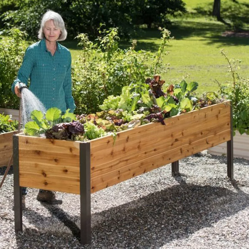 AnkerfieldSelf-Watering Eco-Stained Elevated Planter Box