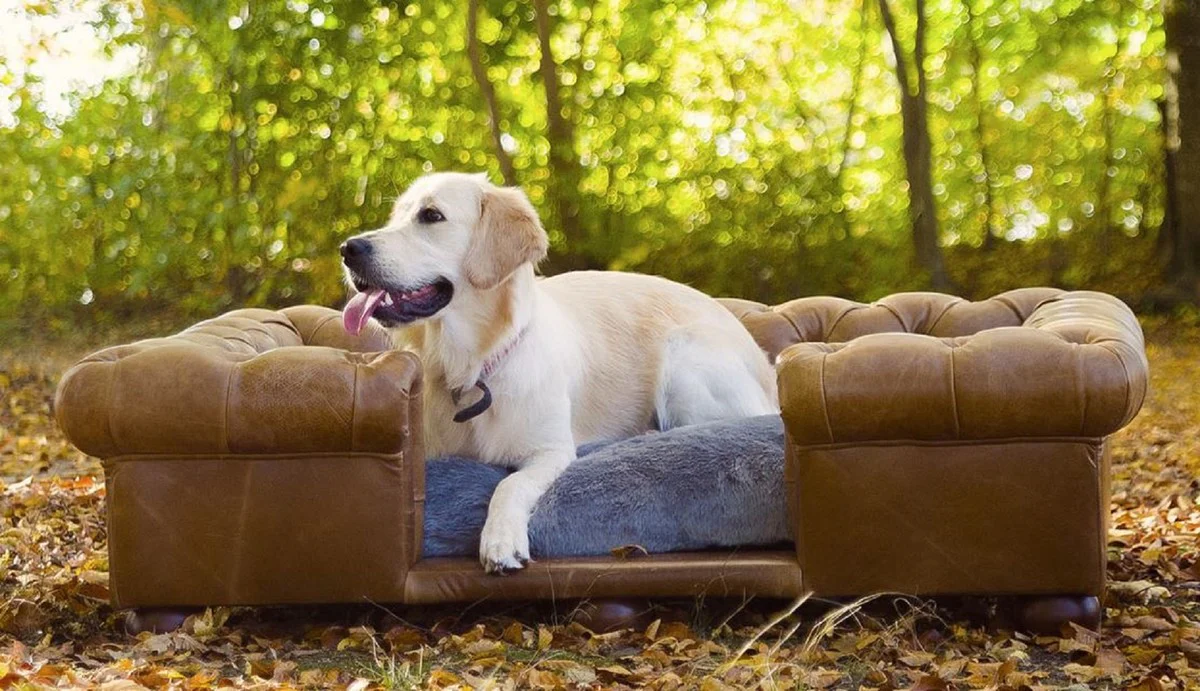 Casa Padrino cama para perros Chesterfield de lujo marrón vintage / marrón oscuro / gris 134 x 104 x A. 37 cm - Cama para perros de cuero genuino rectangular - Muebles para Mascotas de Lujo