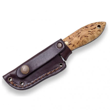 Joker neck knife BS9 Avispa Scandi abedul rizado - Cuchillo bushcraft cuello