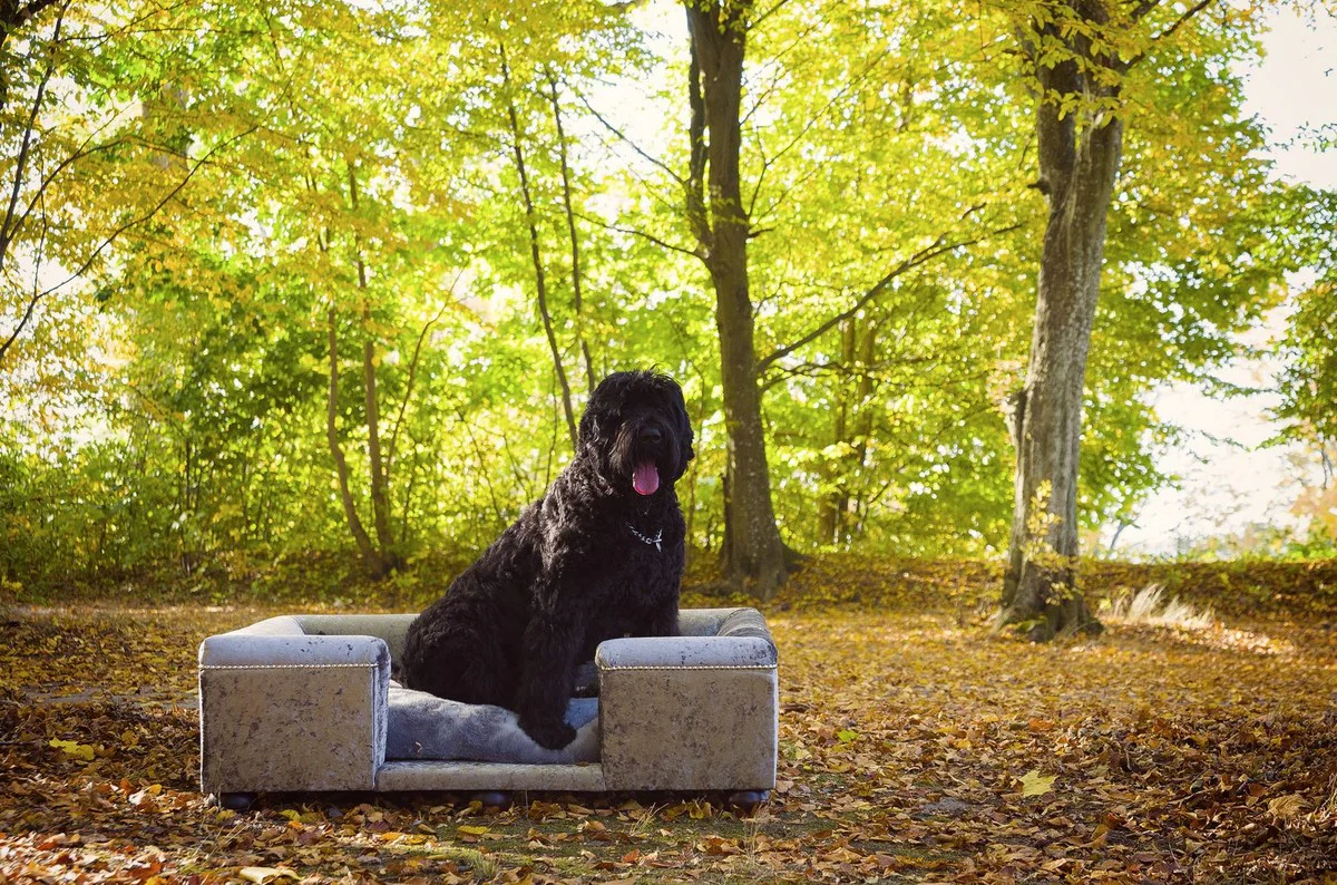 Casa Padrino cama para perros de lujo gris patrón / marrón oscuro / gris 120 x 90 x A. 37 cm - Cama para perros rectangular moderna con cojín - Muebles para perros - Muebles para mascotas de lujo