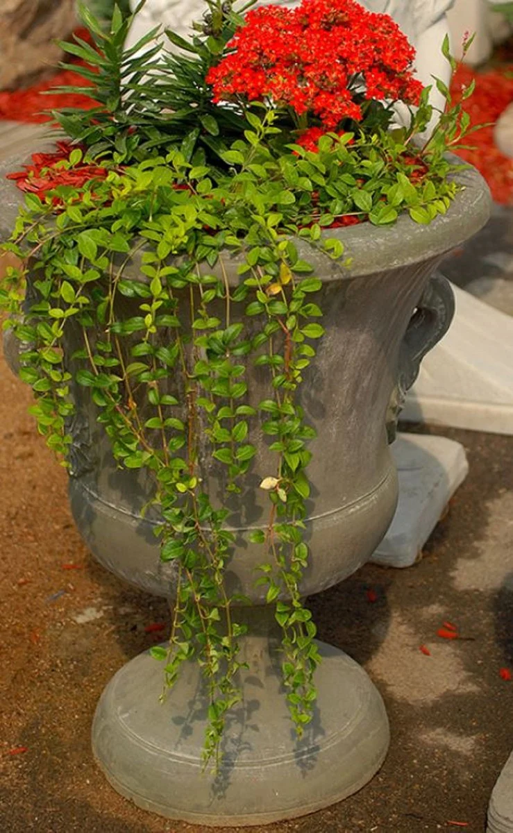 Casa Padrino maceta decorativo de jardín barroco gris antiguo Ø 54 x A. 77 cm - Magnífico macetero de estilo barroco - Accesorios de decoración de terrazas y jardines barrocos