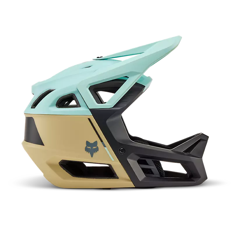 Proframe Helmet