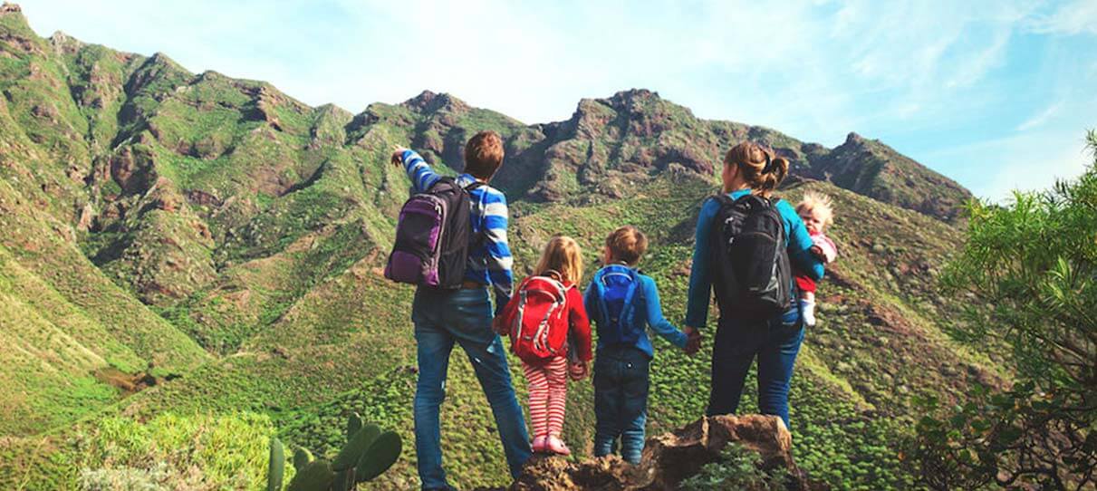 Cubo plegable impermeable OZtrail FLAT PACK BUCKET 12L - verde