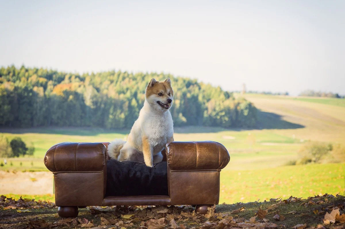Casa Padrino Cama para Perros de Cuero de Lujo Marrón Oscuro / Negro 109 x 89 x A. 37 cm - Cama para Perros de Cuero Genuino Rectangular - Muebles para Mascotas de Cuero Genuino