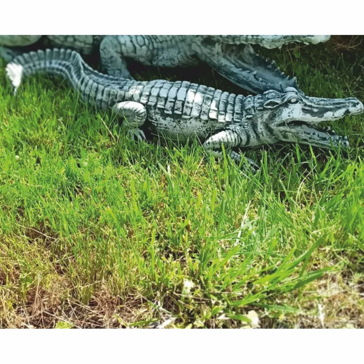 Casa Padrino escultura decorativa de jard¨ªn cocodrilo verde 68 cm - Figura decorativa de piedra