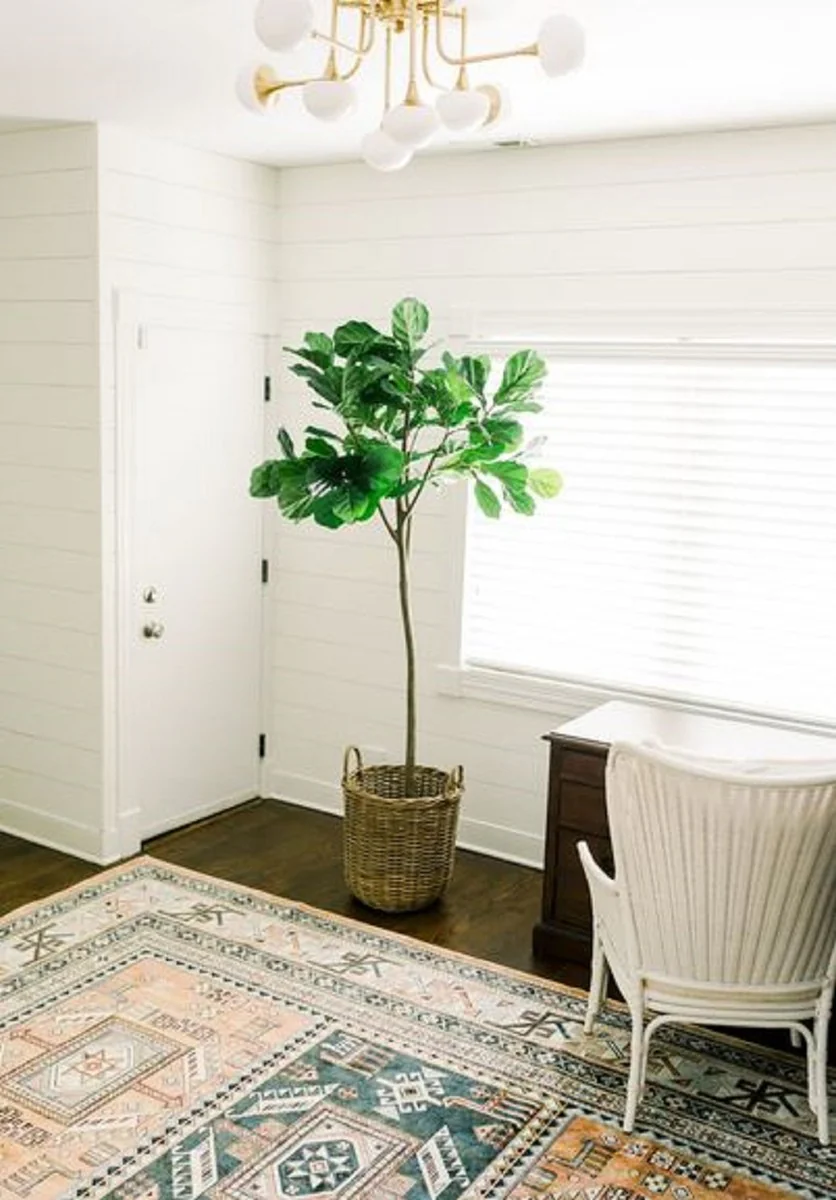 Casa Padrino Lámpara de Techo LED de Lujo Latón Antiguo / Blanco Ø 92,7 x H. 36,8 cm - Lámpara de Techo con Pantallas de Vidrio Esférico - Calidad de Lujo