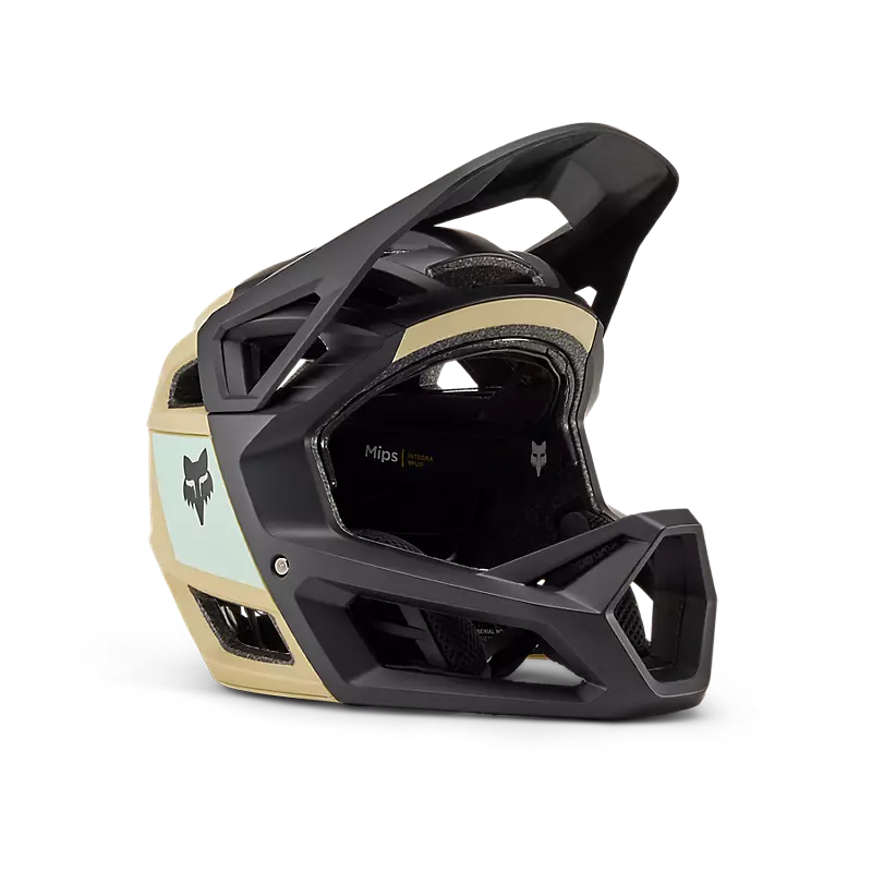 Proframe RS Helmet