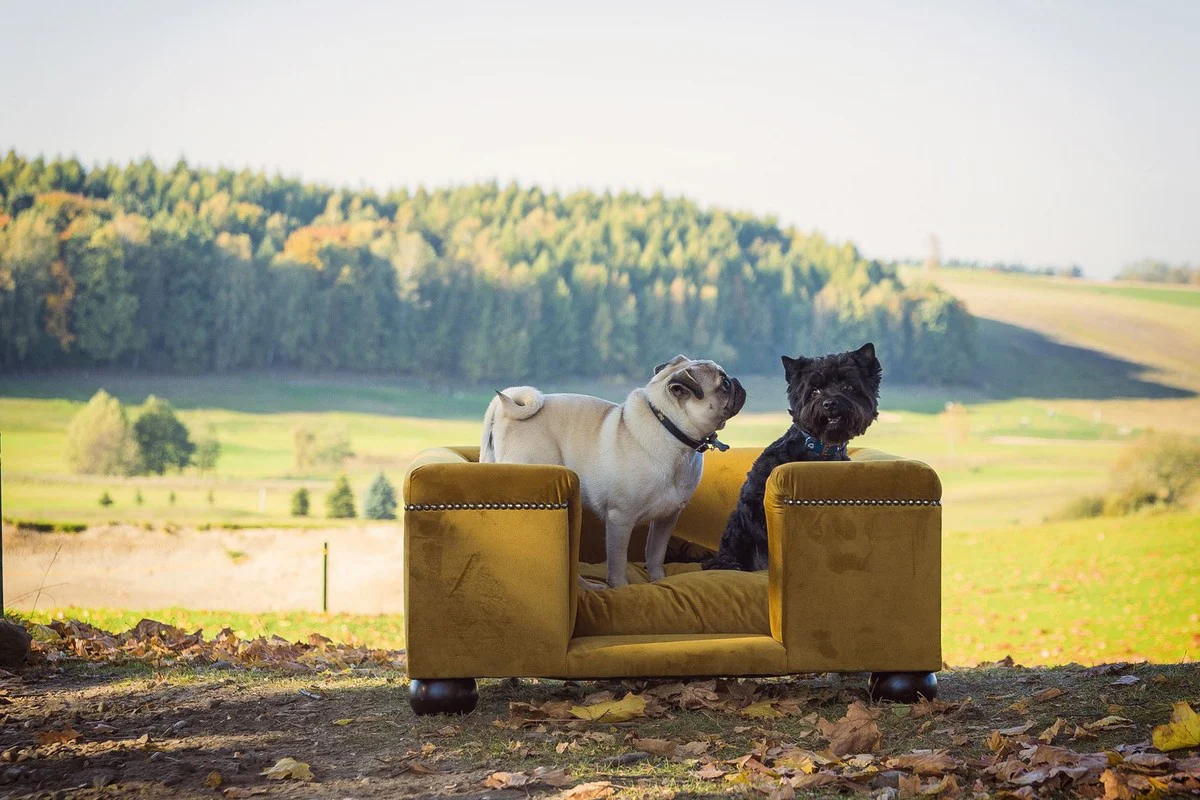 Casa Padrino cama para perros de lujo ocre / marrón oscuro / ocre 95 x 75 x A. 37 cm - Cama para perros rectangular moderna con cojín - Muebles para perros - Muebles para mascotas de lujo