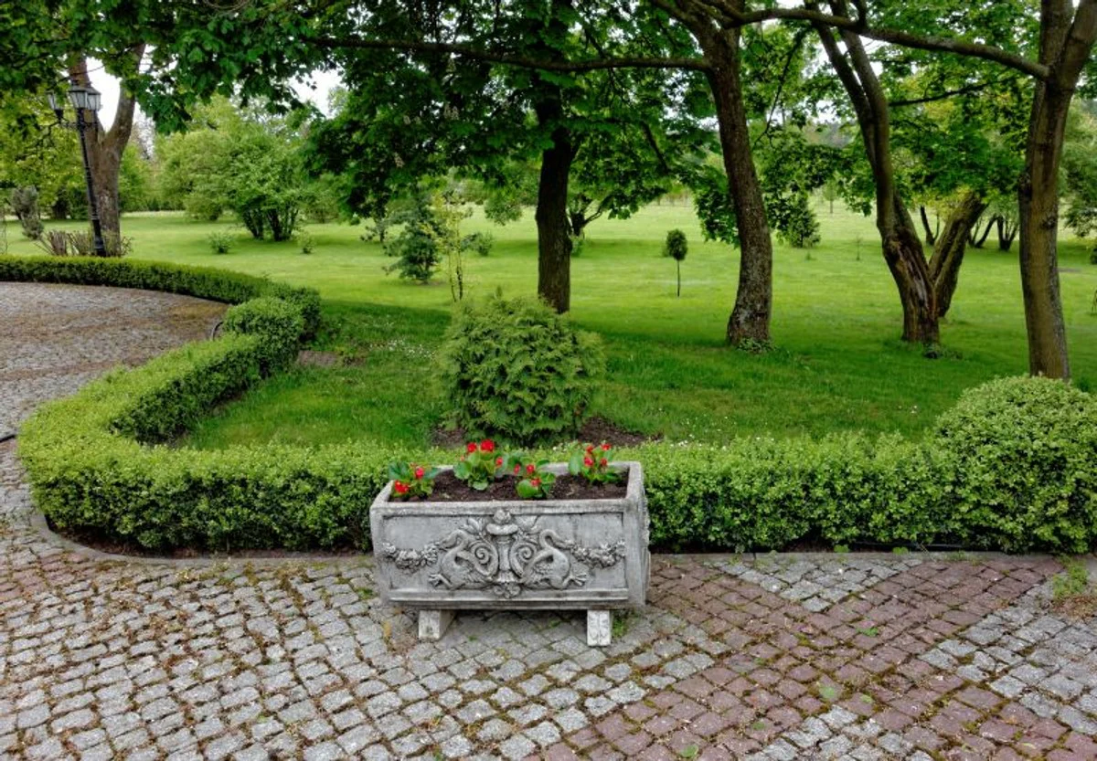 Maceta barroca Casa Padrino gris antiguo 36 x 81 x H. 43 cm - maceta cuadrada de estilo barroco - maceta - jardinera Art Nouveau