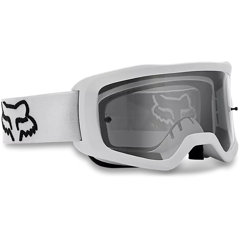 Main Stray Goggles