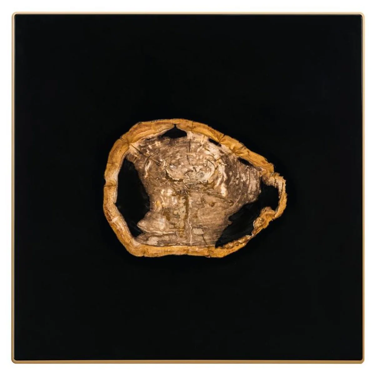 Mesa de centro de dise?o Casa Padrino con madera petrificada integrado - edici¨®n limitada