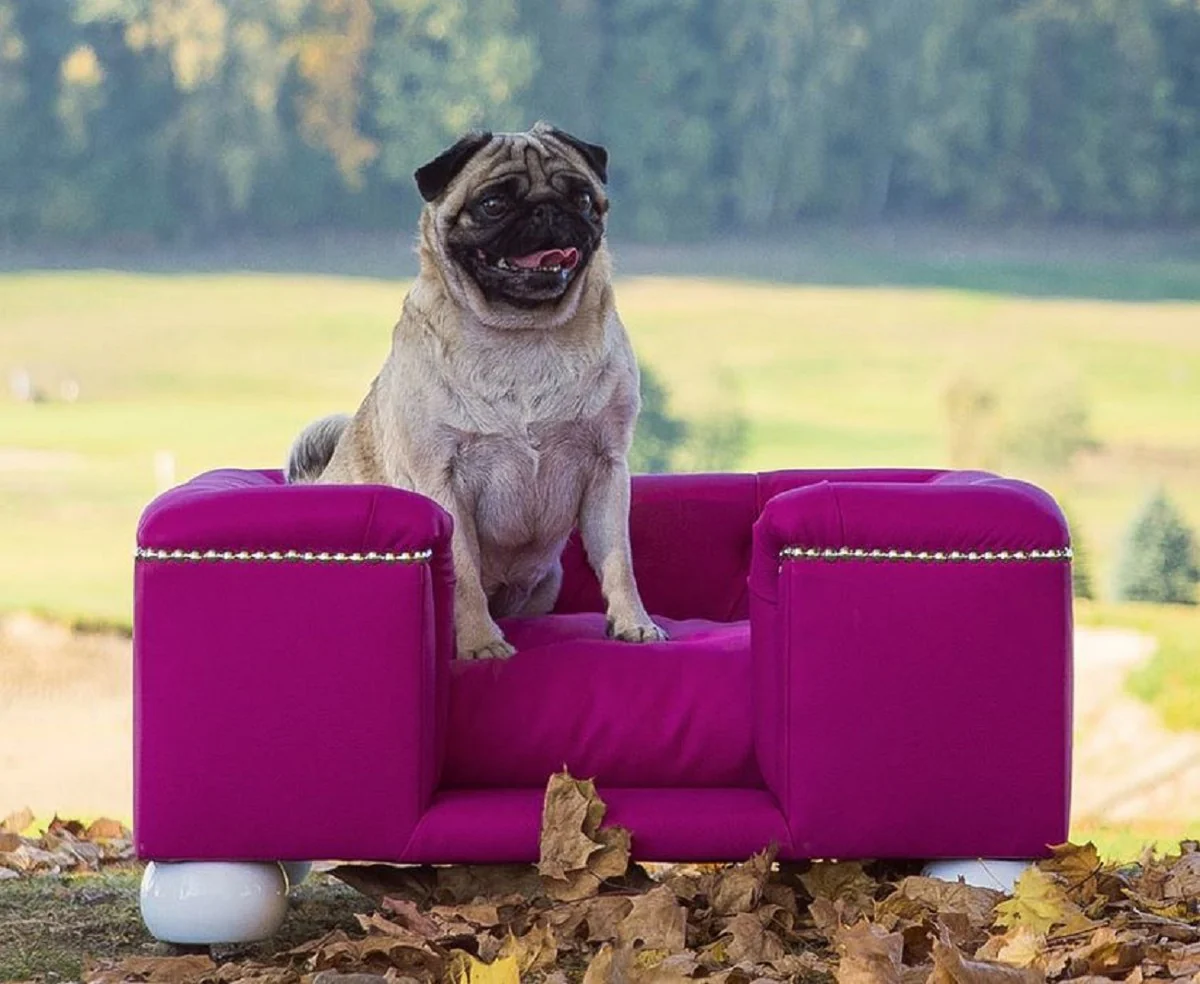 Casa Padrino cama para perros de lujo púrpura / blanco / púrpura 65 x 55 x A. 31 cm - Cama para perros rectangular moderna con cojín - Muebles para perros - Muebles para mascotas de lujo