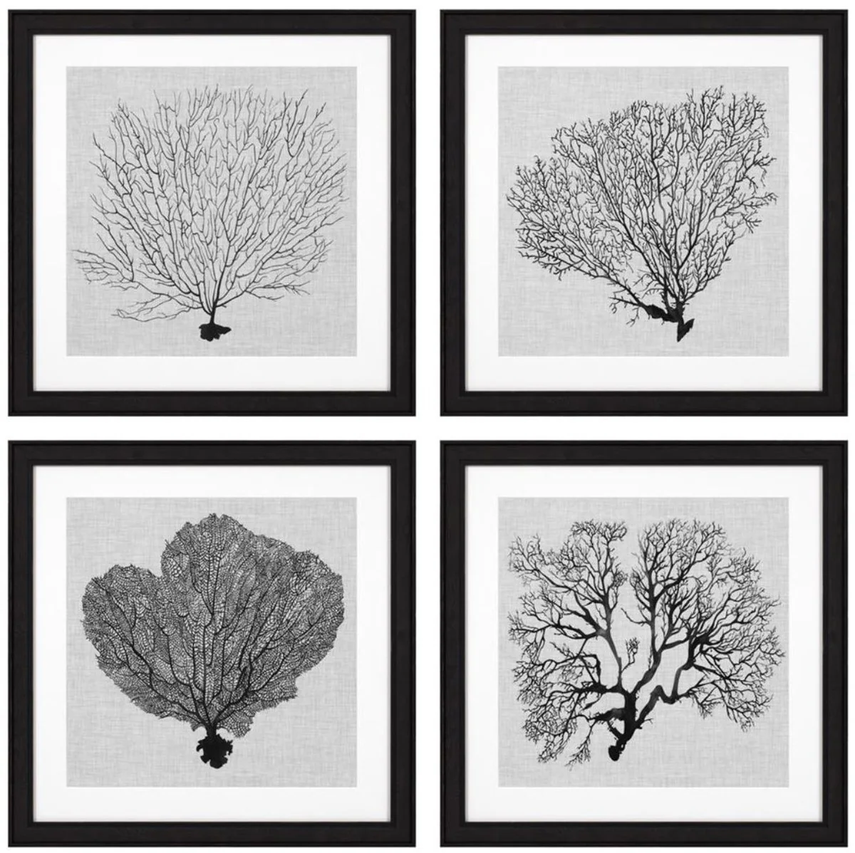 Casa Padrino Images Conjunto de 4 Helechos Marinos Negro / Blanco / Gris 61,5 x H. 61,5 - Impresiones de Arte de Lujo con Marco de Madera