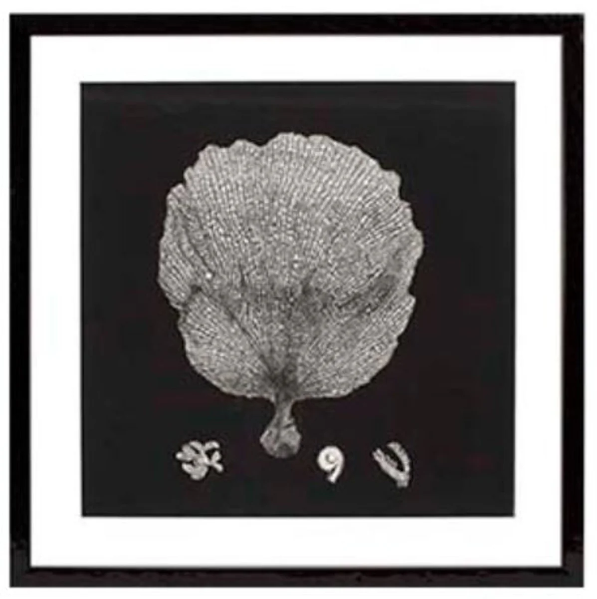Casa Padrino Imágenes / Art Prints Conjunto de 4 Coral Negro 64 x H. 64 cm - Decoración de Lujo