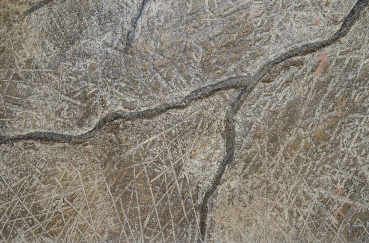 Casa Padrino figura de pared decorativa de la elefante gris 215 x 67 x H. 170 cm - Decoración de Pared de Lujo