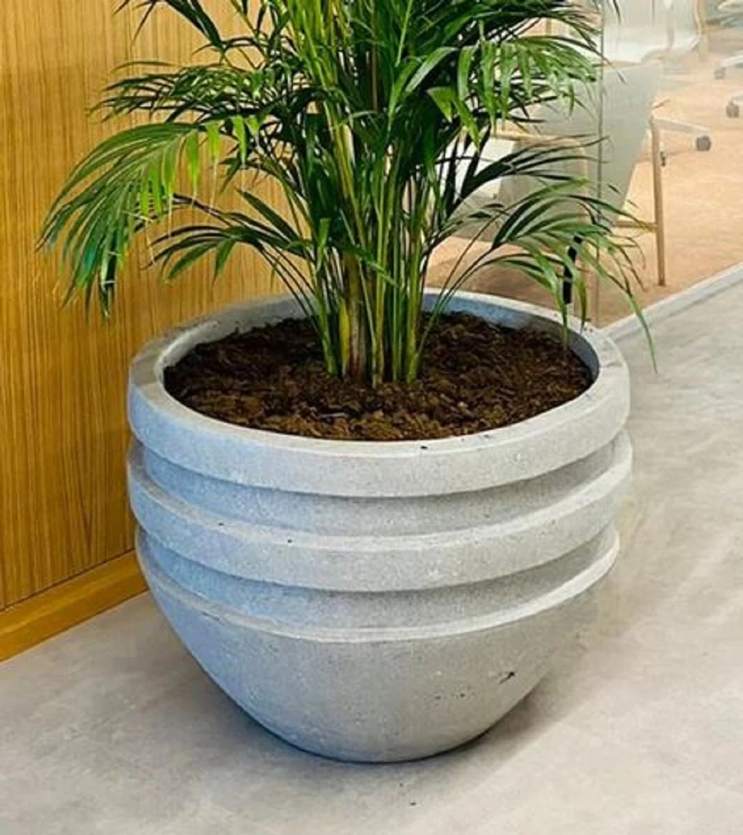 Casa Padrino maceta de hormig¨®n de lujo gris ? 80 x A. 60 cm - Maceta decorativa de sal¨®n y jard¨ªn