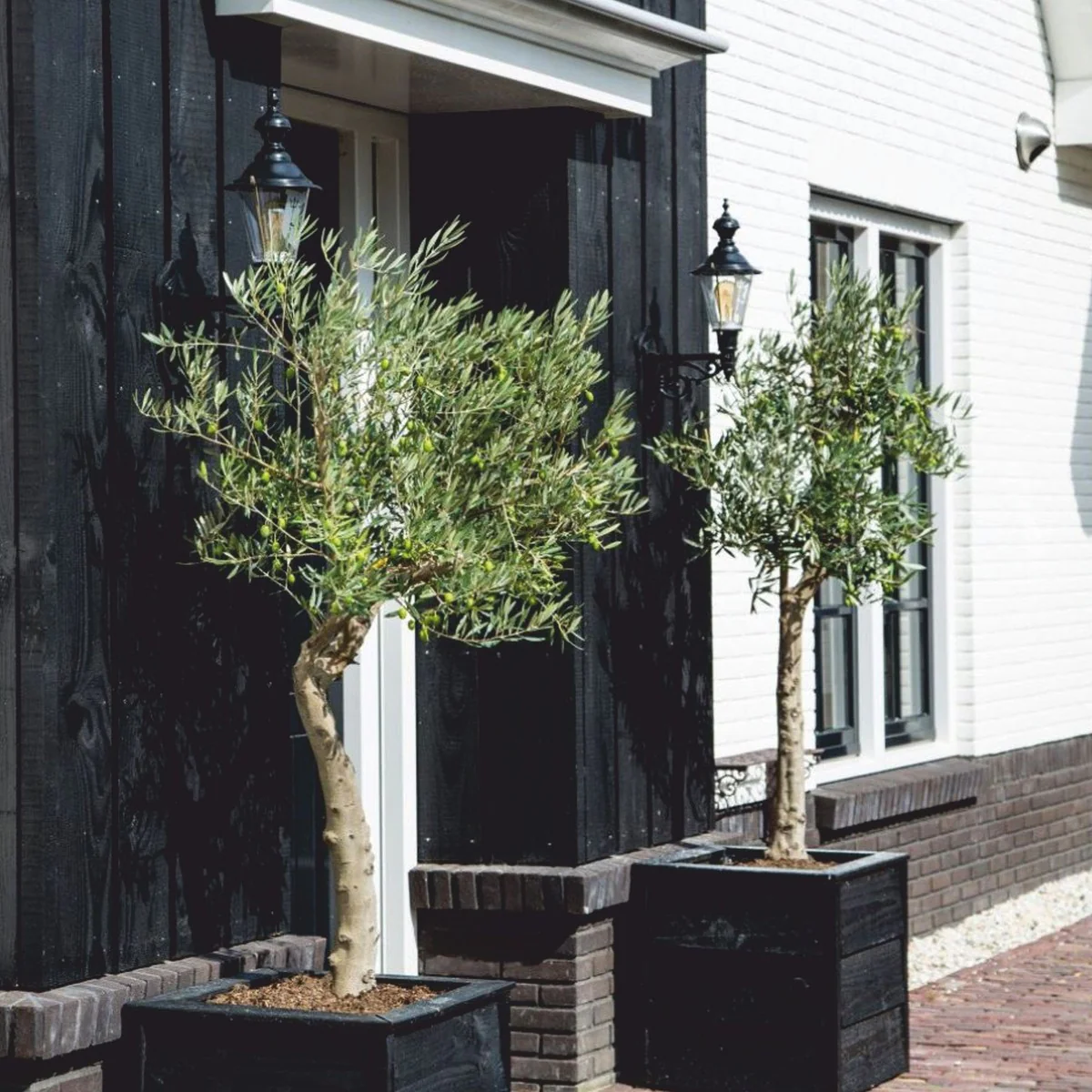 Casa Padrino aplique de exterior Art Nouveau negro mate Al. 56 cm - Iluminaci¨®n de exterior