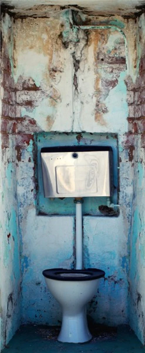 Door 2.0 XXL Wallpaper for doors 20024 WC - self-adhesive eye-catcher for your home - door sticker wallpaper photo wallpaper photo door 2.0 XXL Wallpaper Mural