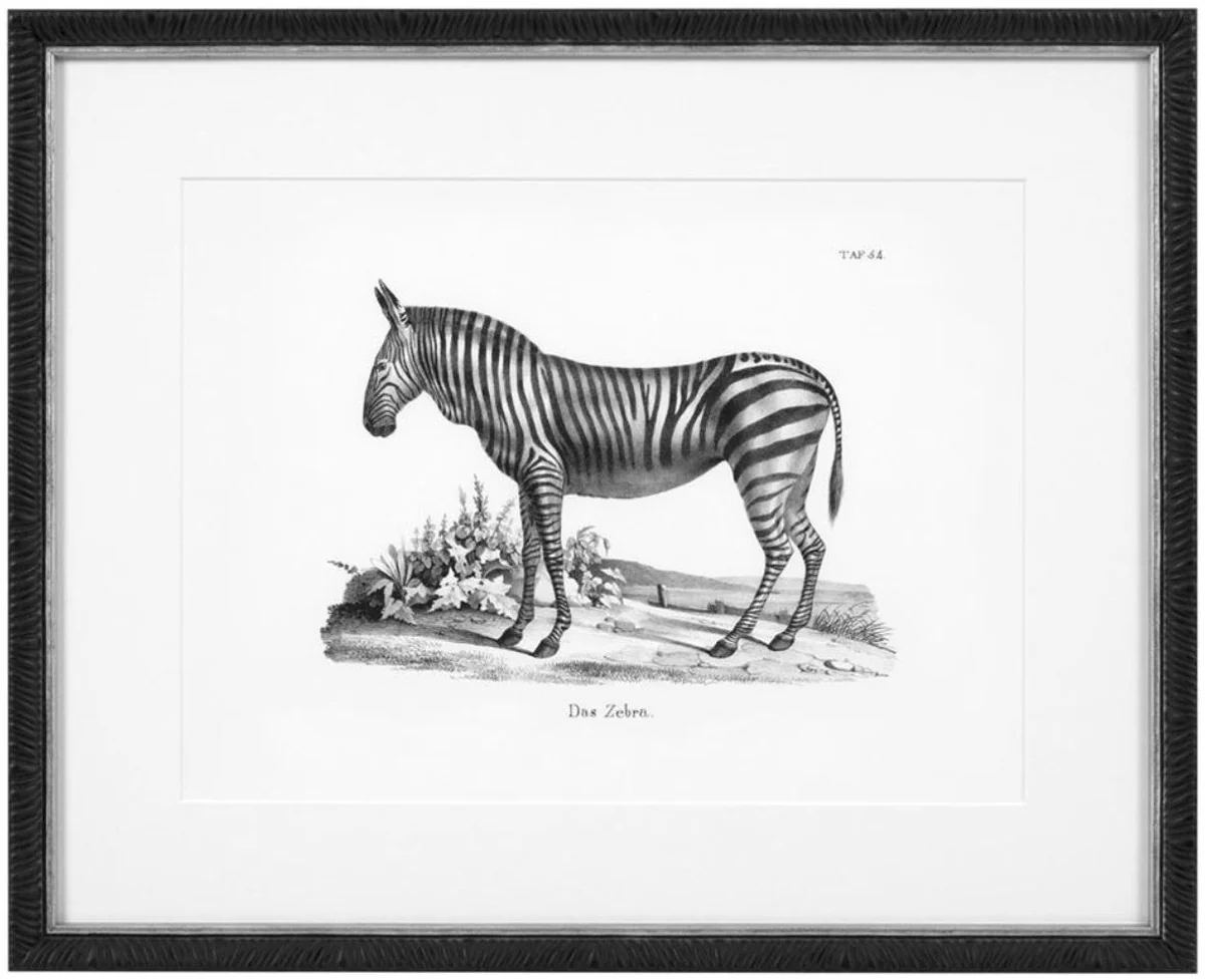 Casa Padrino Imágenes Conjunto de 6 Animales Históricos Negro / Blanco 53,5 x H. 43,5 - Impresiones de Arte de Lujo con Marco de Madera