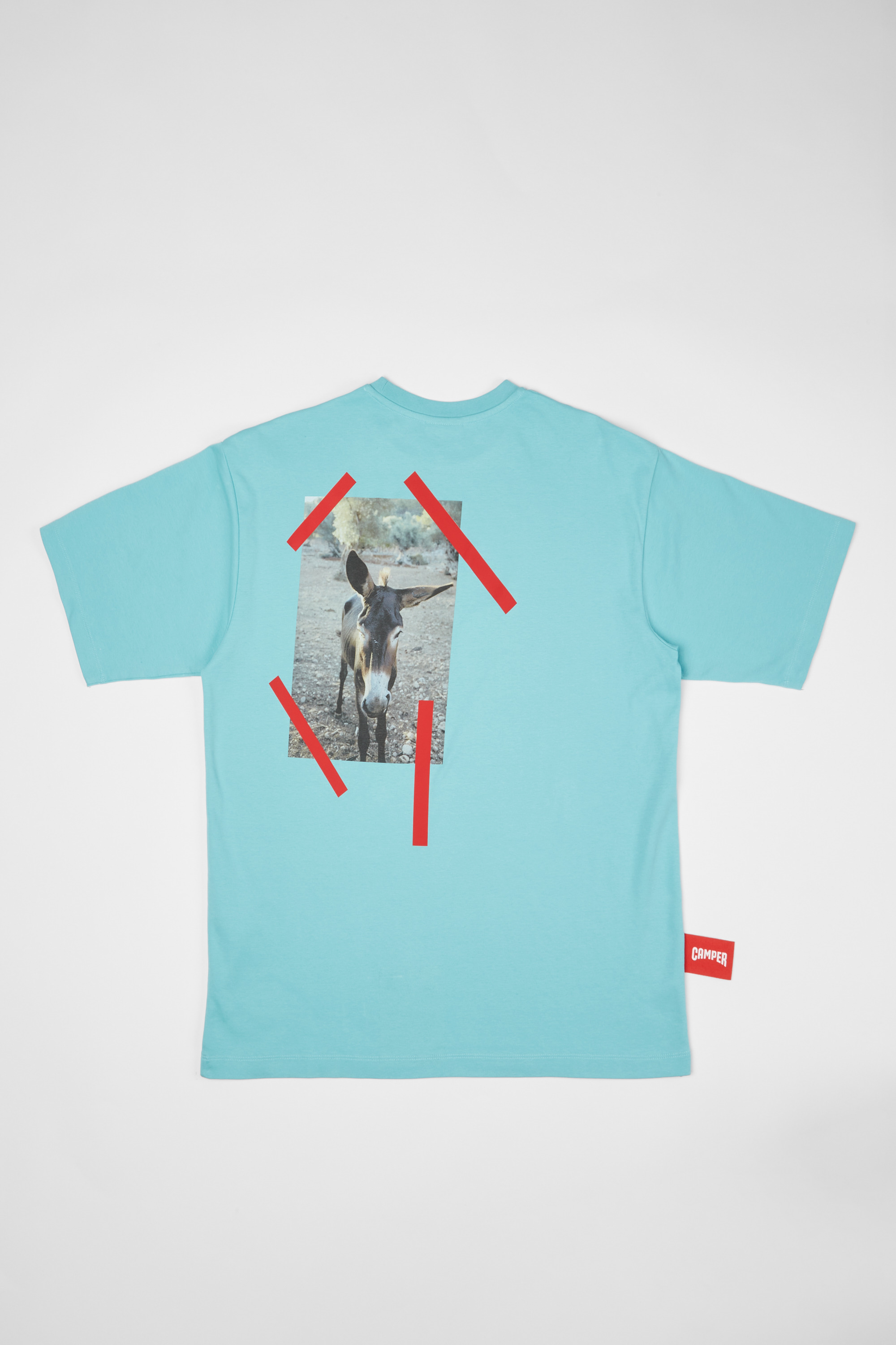 T-Shirt - Light blue T-shirt with donkey print