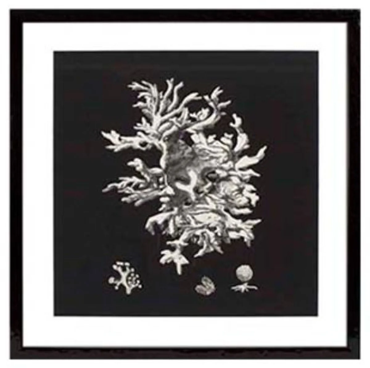 Casa Padrino Imágenes / Art Prints Conjunto de 4 Coral Negro 64 x H. 64 cm - Decoración de Lujo